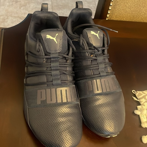 Blue Puma - Picture 2 of 4